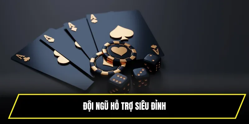 Đội ngũ hỗ trợ siêu đỉnh