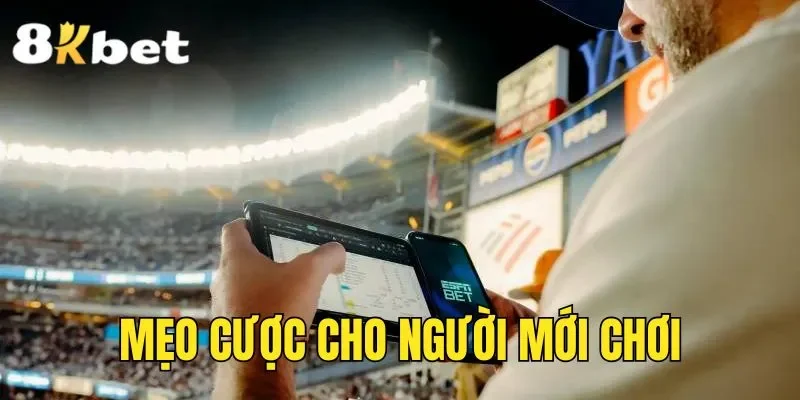 Mẹo cược cho người mới chơi
