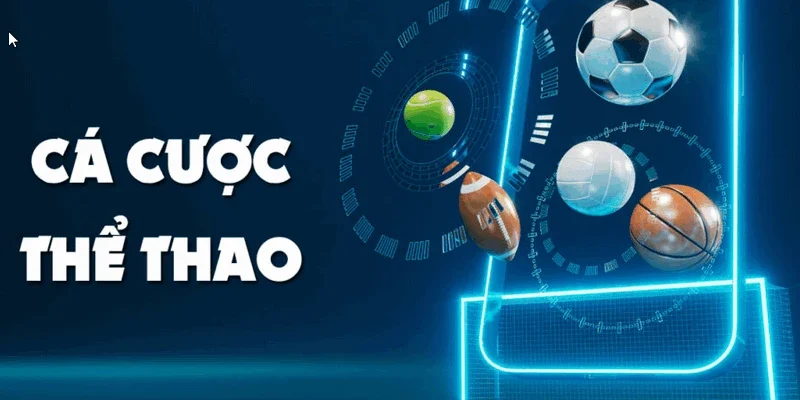 Sảnh Thể thao 8KBET cho trải nghiệm hấp dẫn
